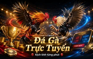 Đá Gà Live